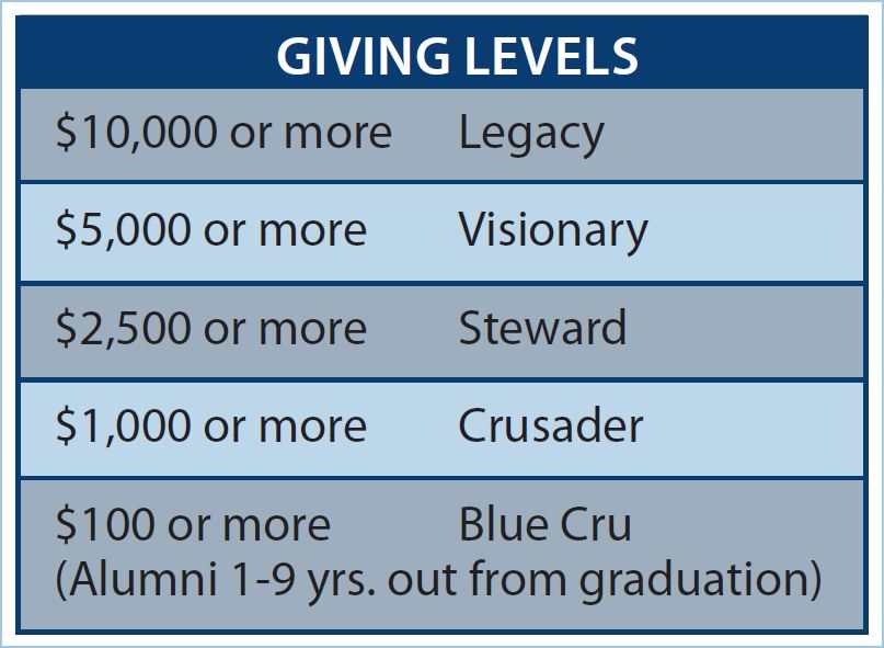 Levels Of Giving Chart